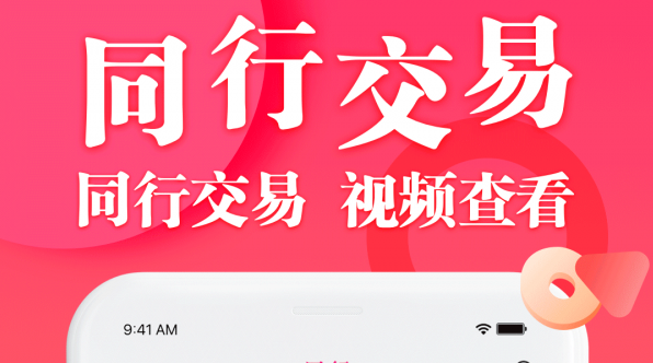 应用界面示意图