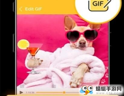 GIF动态表情制作软件