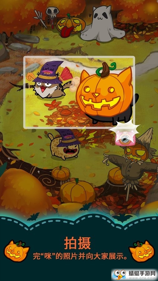 Fancy Cats花梢猫益智和小猫 3.3.4最新版