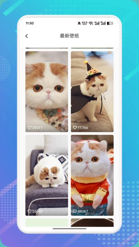 猫咪社区h2026免费版