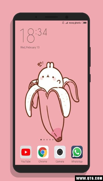 Kawaii Rabbit Wallpaper(卡哇伊兔子壁纸) 1.0手机版