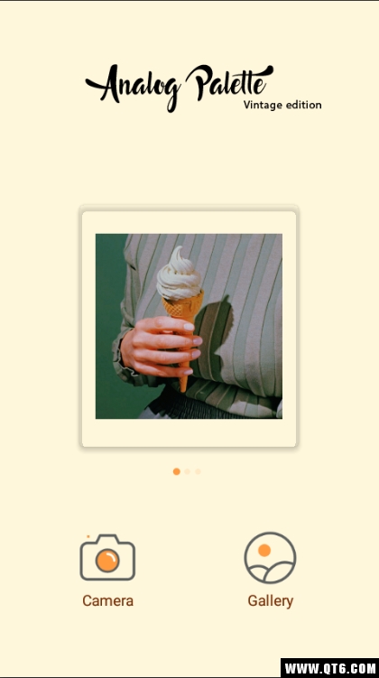 Analog Palette老式相机
