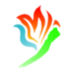 金阳融媒+app客户端下载官方2023最新版v1.1.3安卓版