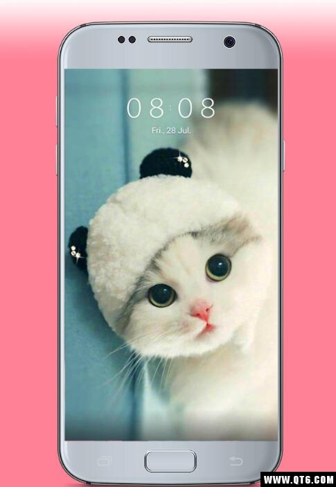 kawaii cats Wallpaper(猫壁纸漂亮的猫图片) 1.0手机版