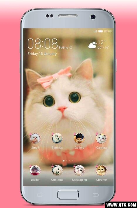 kawaii cats Wallpaper(猫壁纸漂亮的猫图片) 1.0手机版