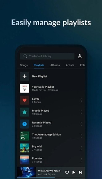 Lark Player高级解锁版