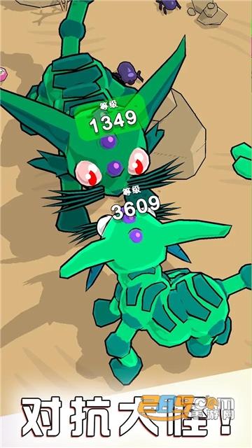 2022123122538007190.jpg