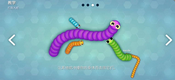 蛇蛇大作战全皮肤解锁版