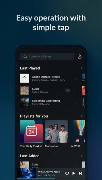 Lark Player高级解锁版