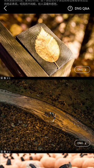 使用教程截图3