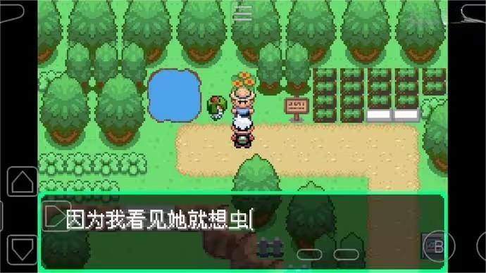 口袋妖怪永恒秩序内置修改器
