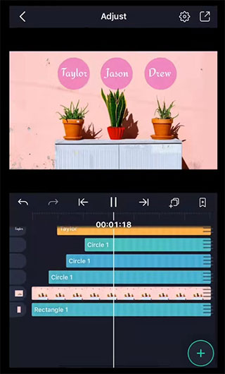alight motion正版