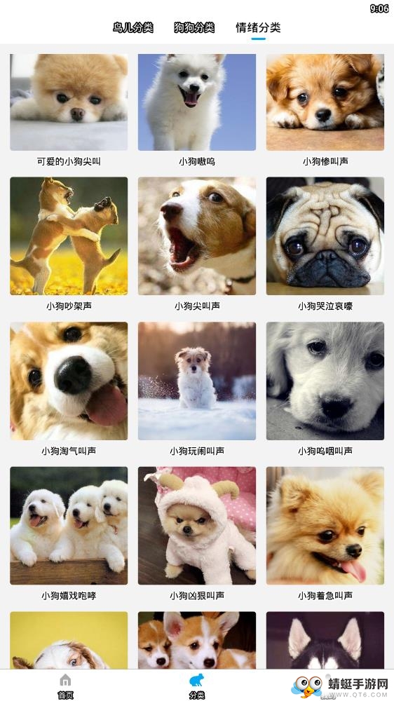 宠物翻译器中文版 2.0.0最新版