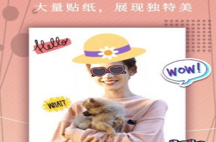 照片拼图相机界面示例