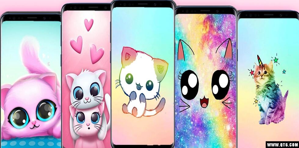 kawaii cats Wallpaper(猫壁纸漂亮的猫图片) 1.0手机版