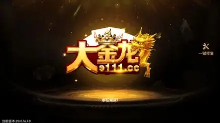 大金龙s222cc