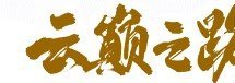 商战云巅之路