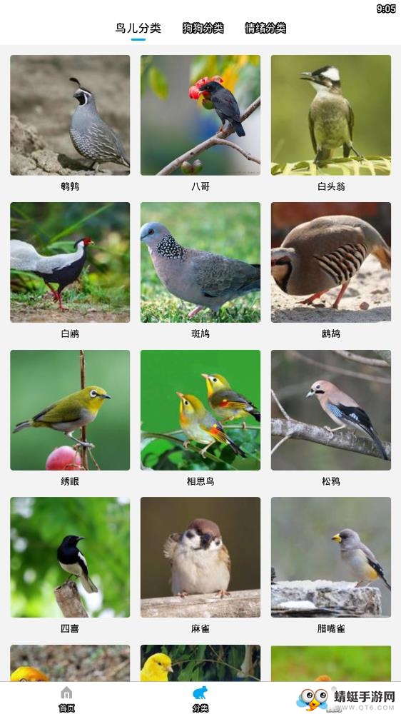 宠物翻译器中文版 2.0.0最新版
