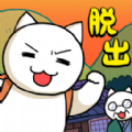 猫与秘宝APP