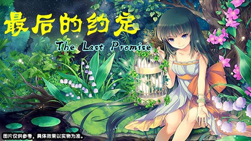 最后的约定满级存档版