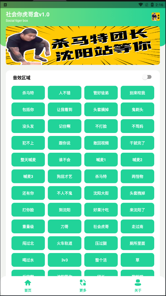 社会你虎哥盒
