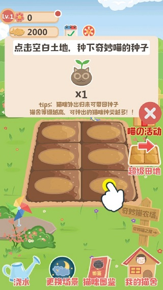 奇妙猫之家3