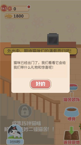 奇妙猫之家1