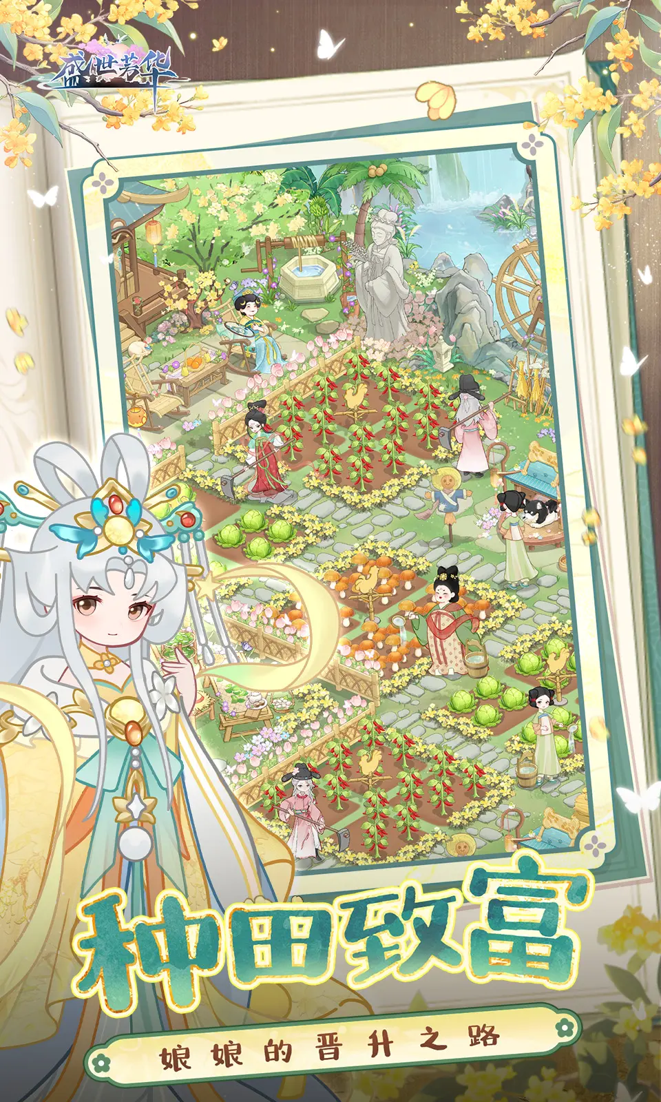 盛世芳华官网
