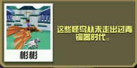 疯狂动物园图片12