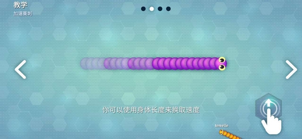 蛇蛇大作战全皮肤解锁版