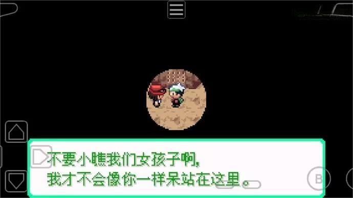 口袋妖怪永恒秩序内置修改器