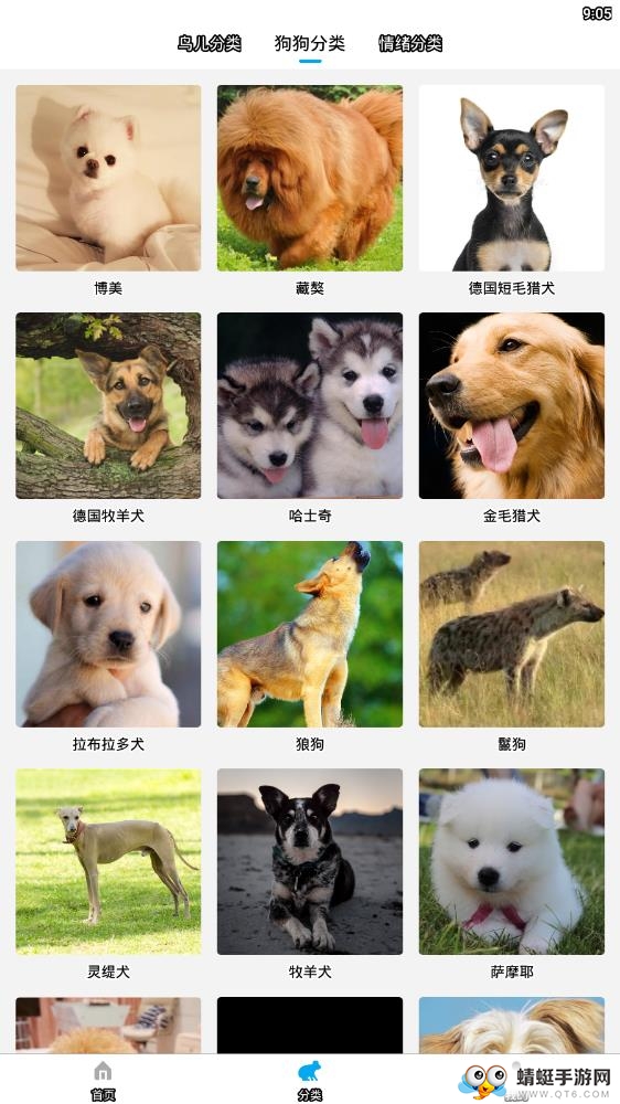 宠物翻译器中文版 2.0.0最新版