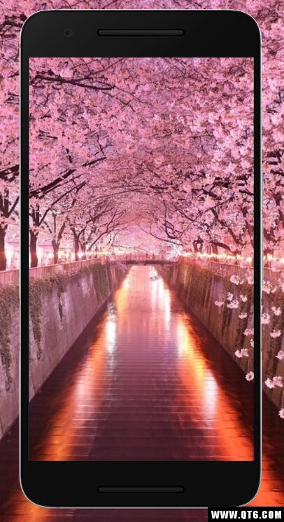 Sakura Wallpaper HD(樱花壁纸高清免费) 1.0.0手机版