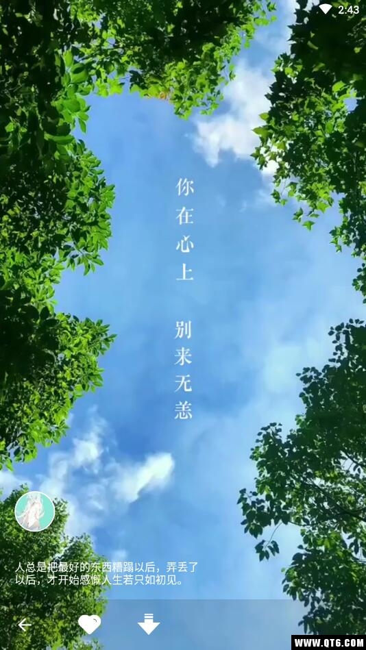 动态壁纸 1.3.3安卓版