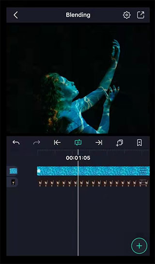 alight motion正版