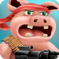 Pigs