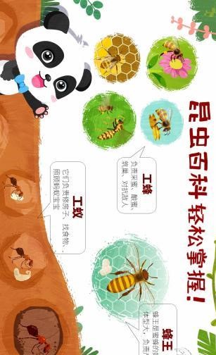 奇妙昆虫世界APP