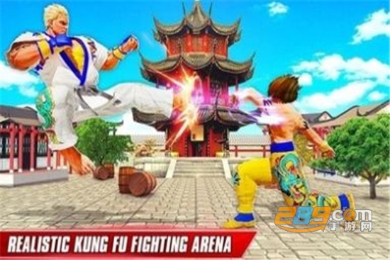 Kung Fu Fighting(功夫格斗领域汉化版)v21
