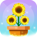植物花园天堂游戏最新中文版v1.0.2安卓版