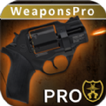 终极武器模拟器Pro破解版v1.1.5安卓版