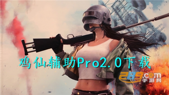 鸡仙辅助Pro2.0