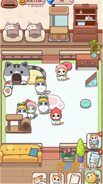 蓝星猫猫教手机版v1.0.0