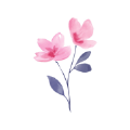 Floret app安卓免费版v1.0安卓版
