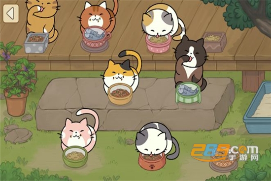 Cats Adorable(猫可爱极了免费版)v1.0.2