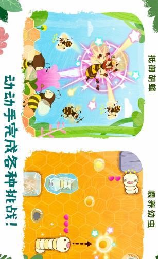 奇妙昆虫世界APP