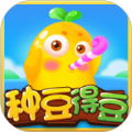 种豆得豆游戏红包版v1.0.1安卓版