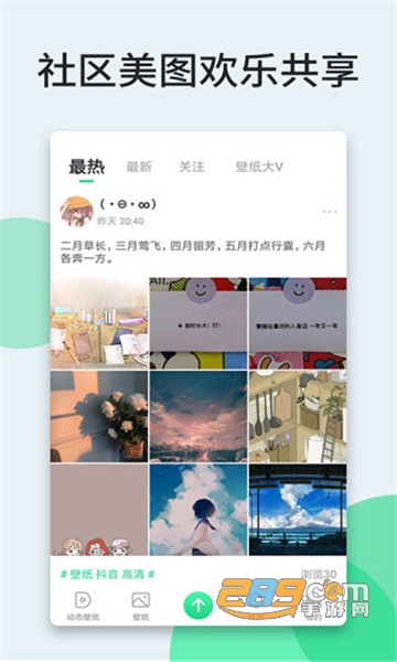 小鸟壁纸2021官方appv2.2.0安卓版