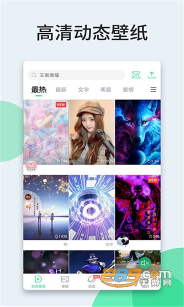 小鸟壁纸2021官方appv2.2.0安卓版