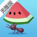 IdleAnts(小蚁帝国破解版)v2.2.3中文版