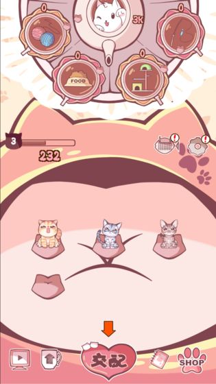 云撸猫咪APP